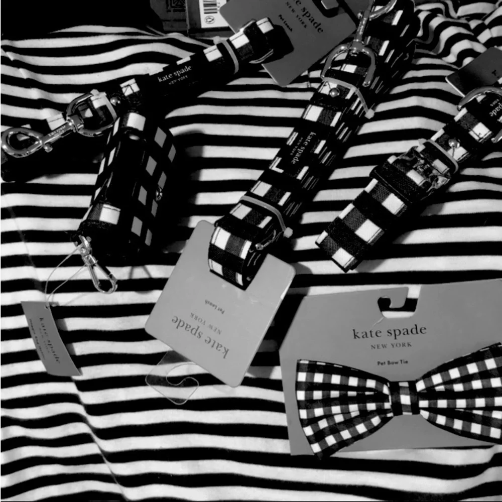 💙 5 Kate Spade ♠️Preppy Pup accessories checkered blue and white truly fun! 🤩🐶 - Picture 3 of 4